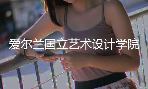 爱尔兰国立艺术设计学院排名多少？