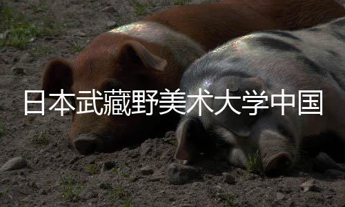 日本武藏野美术大学中国留学生多吗？