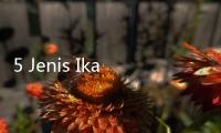 5 Jenis Ikan Air Tawar yang Kaya Omega 3, Sehat dan Enak Rasanya