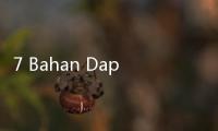 7 Bahan Dapur yang Paling Ampuh Usir Tikus, Dijamin Enggak Balik Lagi