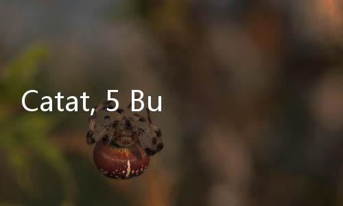 Catat, 5 Buah Ini Tidak Boleh Dikonsumsi Setiap Hari