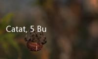 Catat, 5 Buah Ini Tidak Boleh Dikonsumsi Setiap Hari