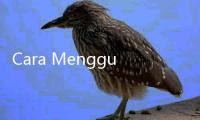 Cara Menggunakan E