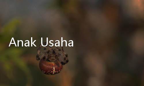 Anak Usaha Bank Panin (CFIN) Bakal Bagi Dividen Rp50 per Saham, Catat Waktunya!