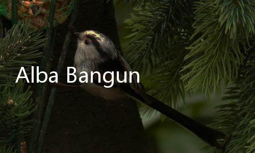 Alba Bangun Pabrik Plastik Daur Ulang Senilai US Juta