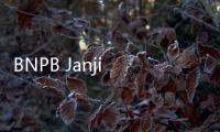 BNPB Janji Bakal Beri Bantuan untuk Perbaikan Rumah Warga yang Terdampak Erupsi Gunung Ruang