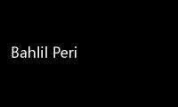Bahlil Perintahkan PLN Konsisten Jalankan RUPTL