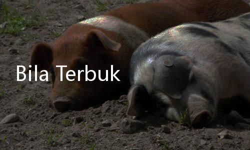 Bila Terbukti Merekayasa Kasus Terorisme Bekasi, Kapolri Siap Dicopot