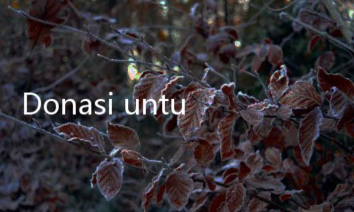 Donasi untuk Guru Ngaji yang Rawat Anak Disabilitas via Berbuatbaik