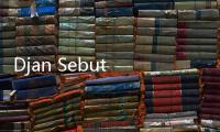 Djan Sebut PPP Jembatani Ahok