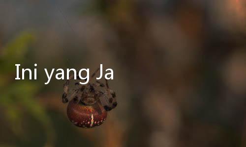 Ini yang Jadi Fokus Irvan Mahidin Usai Dipercaya Pimpin IVENDO 2025–2028
