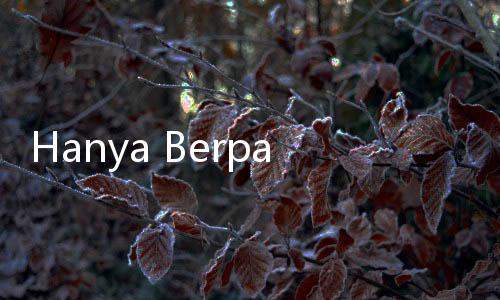 Hanya Berpatokan pada Argumen Seorang Dosen, JPU Dinilai Lemah, TPH Minta Eksepsi Robby Diterima