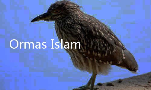 Ormas Islam Minta Gubernur Pramono Tingkatkan Konsolidasi