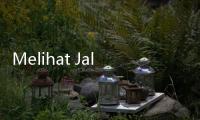 Melihat Jalan