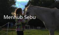 Menhub Sebut Mudik H