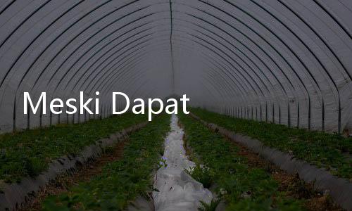 Meski Dapat Endorse Wakilnya Trump, Harga Bitcoin Terkoreksi ke US7.000