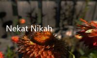 Nekat Nikah Lagi, Mantan Bupati Lombok Tengah Suhaili Dipolisikan Istri