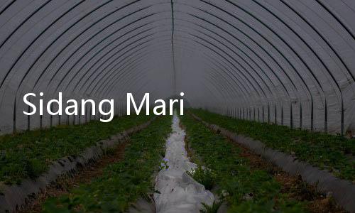 Sidang Mario Dandy dan Shane Lukas Hadirkan Dua Saksi Ahli