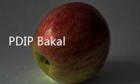 PDIP Bakal Tutup Bulan Bung Karno di GBK, Acara Diramaikan Grup Band RAN