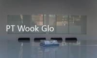 PT Wook Global Technology (WOOK) dan Letsvan Hadirkan Mainan Edukatif 'Wakuku' ke Indonesia