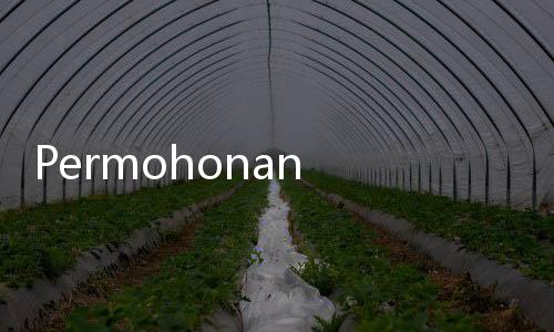 Permohonan SYL Ditolak LPSK, Pengacara: Padahal Beliau Korban