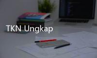 TKN Ungkap Akun Tiktok @calonistri71600 Tidak Terafiliasi dengan Prabowo