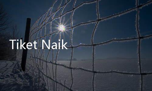 Tiket Naik Sampai 50 Persen, Pemudik Tujuan Padang Ramai di Terminal Lebak Bulus