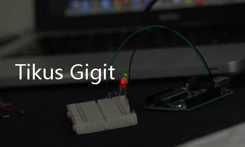 Tikus Gigit Kabel, Listrik Bandara Ini Padam dan Penerbangan Tertunda