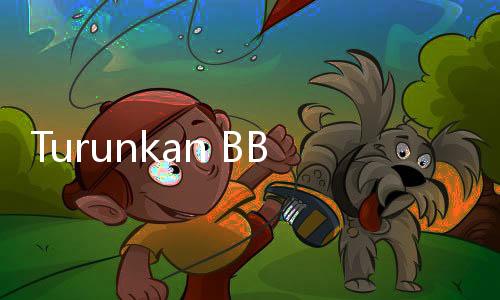 Turunkan BB 12 Kg, Ini Menu Makan Sehari