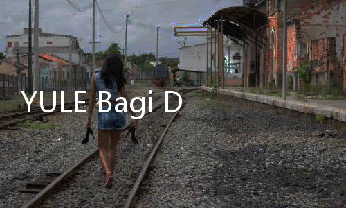 YULE Bagi Dividen Rp12,69 Miliar, Pembayaran Dijadwalkan Juni