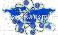 2025学艺术去哪个国家留学？该如何选择院校？